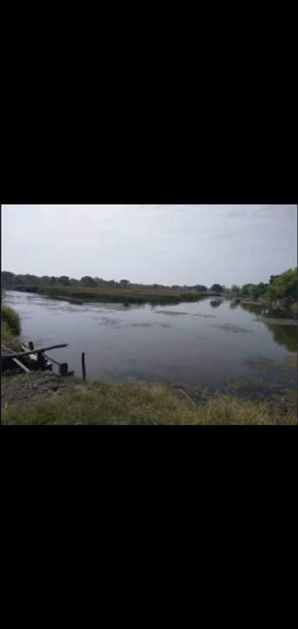 Dijual Tambak Produktif di Jalan Perikanan Kalianyar Bangil Pasuruan - Thumbnail 4