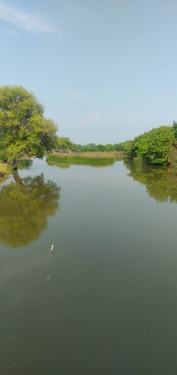 Dijual Tambak Produktif di Jalan Perikanan Kalianyar Bangil Pasuruan - Image 1