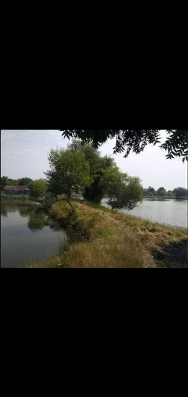 Dijual Tambak Produktif di Jalan Perikanan Kalianyar Bangil Pasuruan - Thumbnail 2