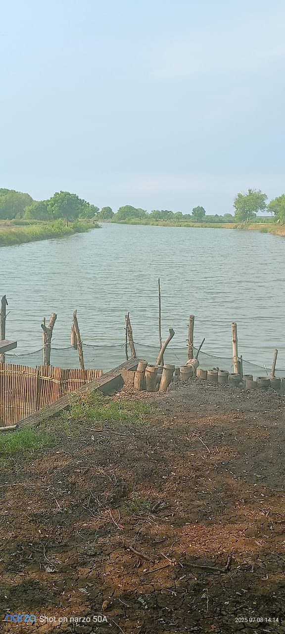 Dijual Tambak Produktif di Jalan Perikanan Kalianyar Bangil Pasuruan - Thumbnail 3