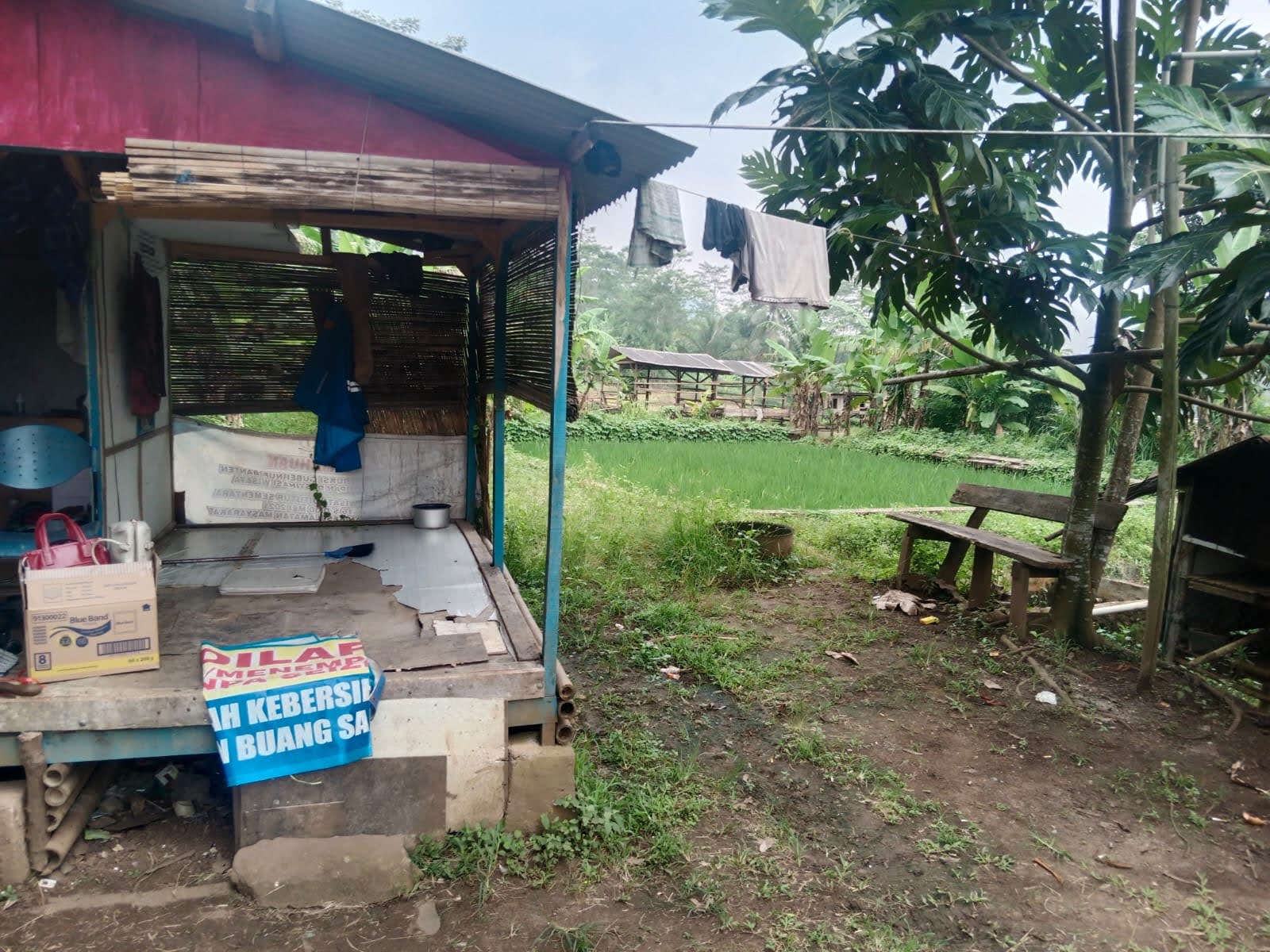 Dijual Tanah Luas Lokasi Strategis di Padarincang Serang Banten - Image 1