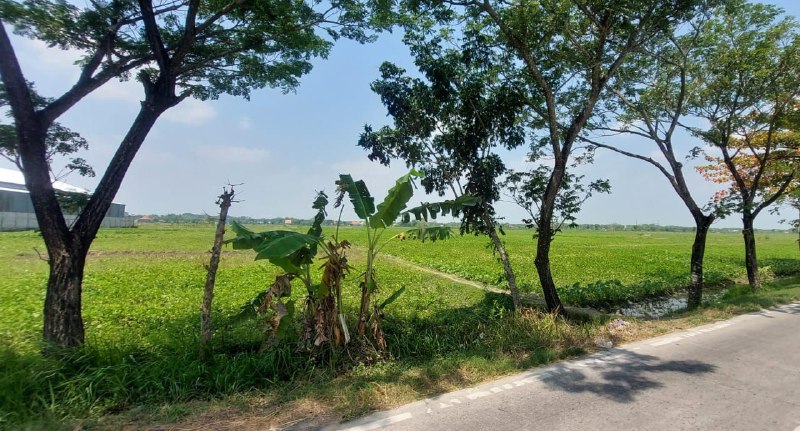 Dijual Tanah Kavling di Plesungan Bojonegoro - Image 1