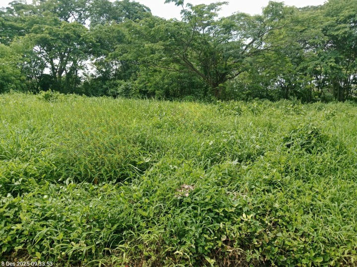 Jual Kavling Tanah Premium di Bukit Golf International Lokasi Strategis Surabaya Barat - Image 1