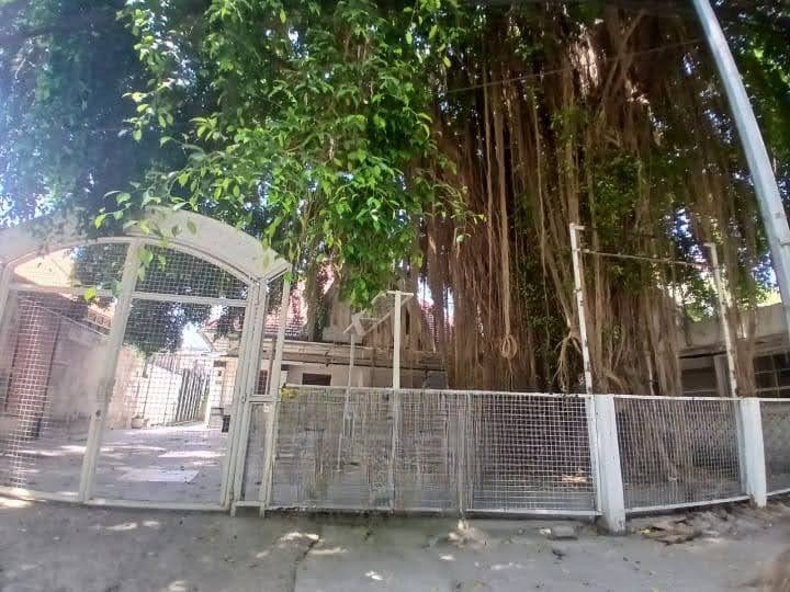 Dijual / Disewakan Rumah Mewah di Jalan Progo – Surabaya Pusat - Image 1