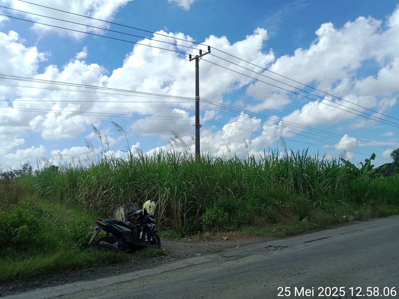 Jual Cepat Tanah Dekat di Raya Balongpanggang Mantup Gresik - Image 1