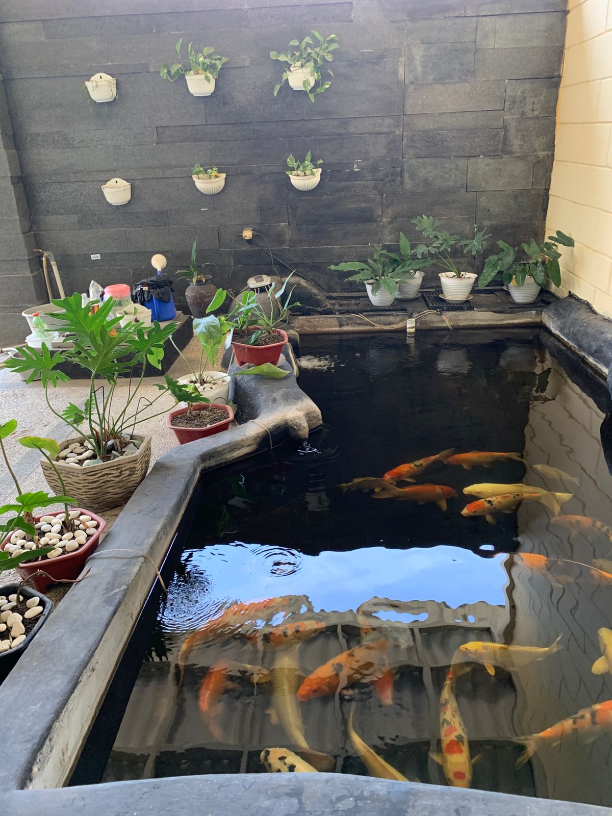 Jual Cepat Rumah di Fullerton Citraland Surabaya Barat - Image 1