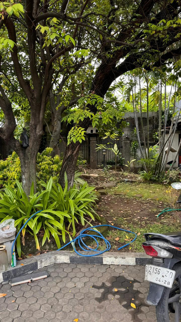 DiSewakan Rumah Usaha 1.5Lantai Siap Huni di Nol Jalan Tegalsari Surabaya Pusat - Thumbnail 3