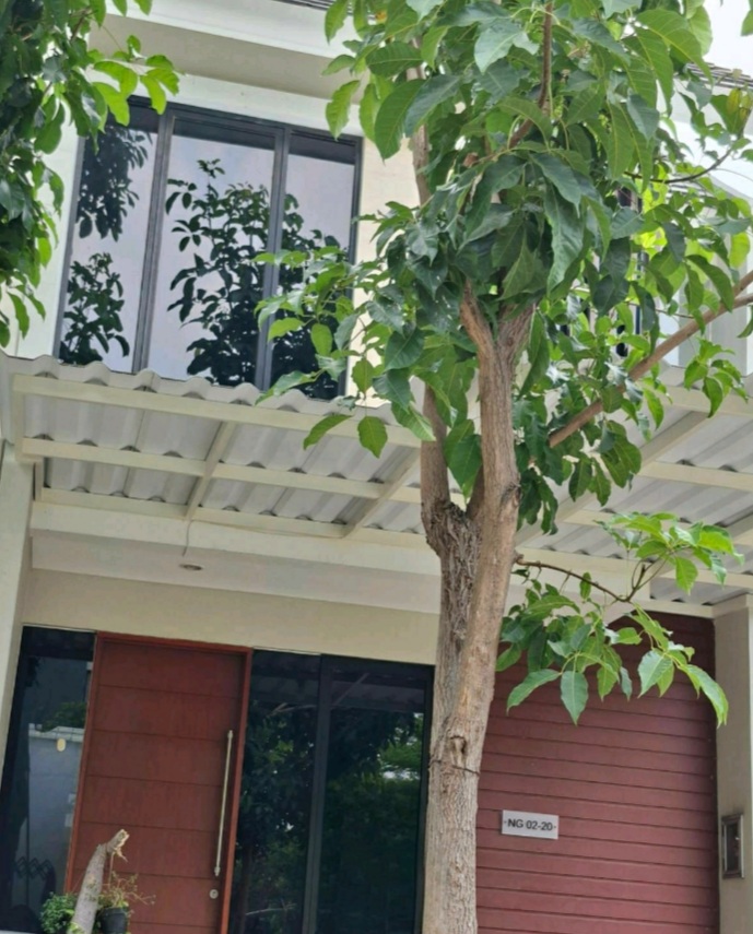 Disewakan Rumah Full Furnish Siap Huni di Northwest Lake Citraland Surabaya Barat - Image 1