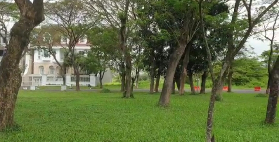 Disewakan Tanah Strategis di Citraland Waterfront Surabaya Barat - Thumbnail 2