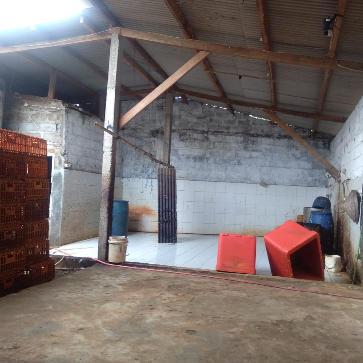 Jual Tanah Peternakan Ayam di Ngembal Krajan Pasuruan - Thumbnail 3