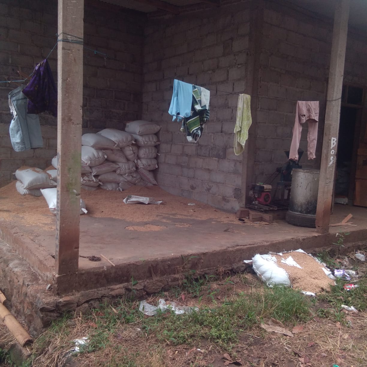 Jual Tanah Peternakan Ayam di Ngembal Krajan Pasuruan - Thumbnail 4