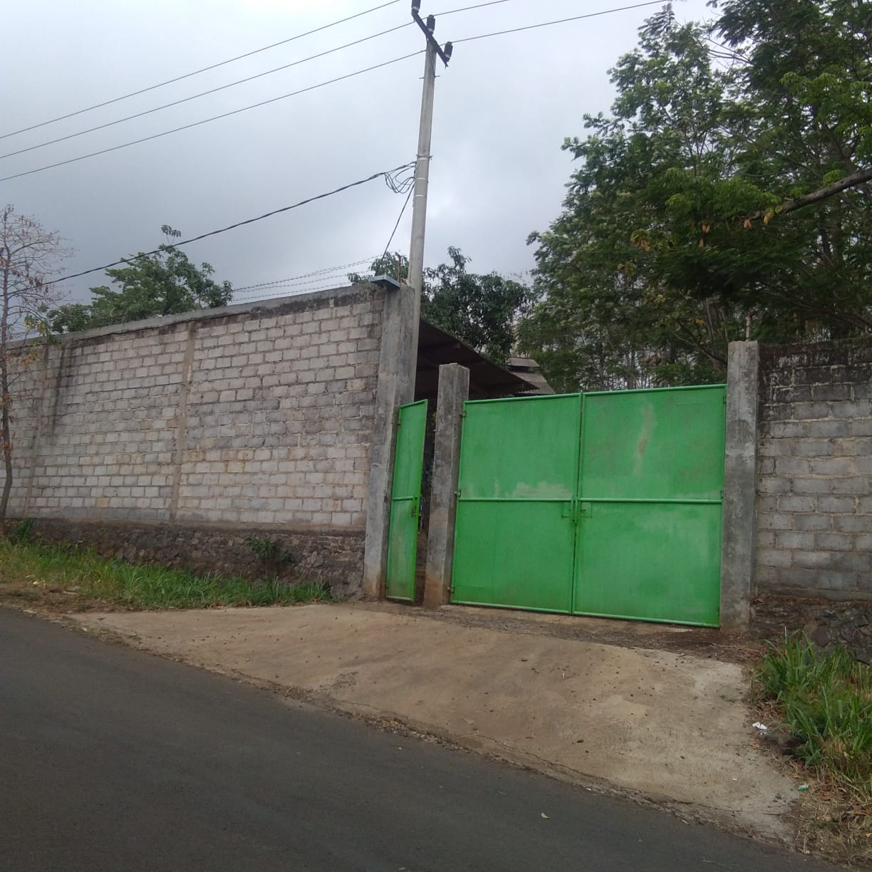 Jual Tanah Peternakan Ayam di Ngembal Krajan Pasuruan - Image 1