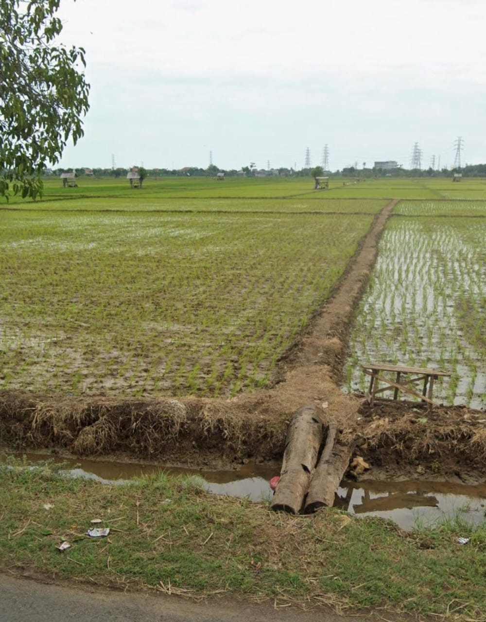 Jual Kavling Tanah Tuban 4,3 Hektar Murah Lokasi Strategis di Tuban Jawa Timur - Image 1