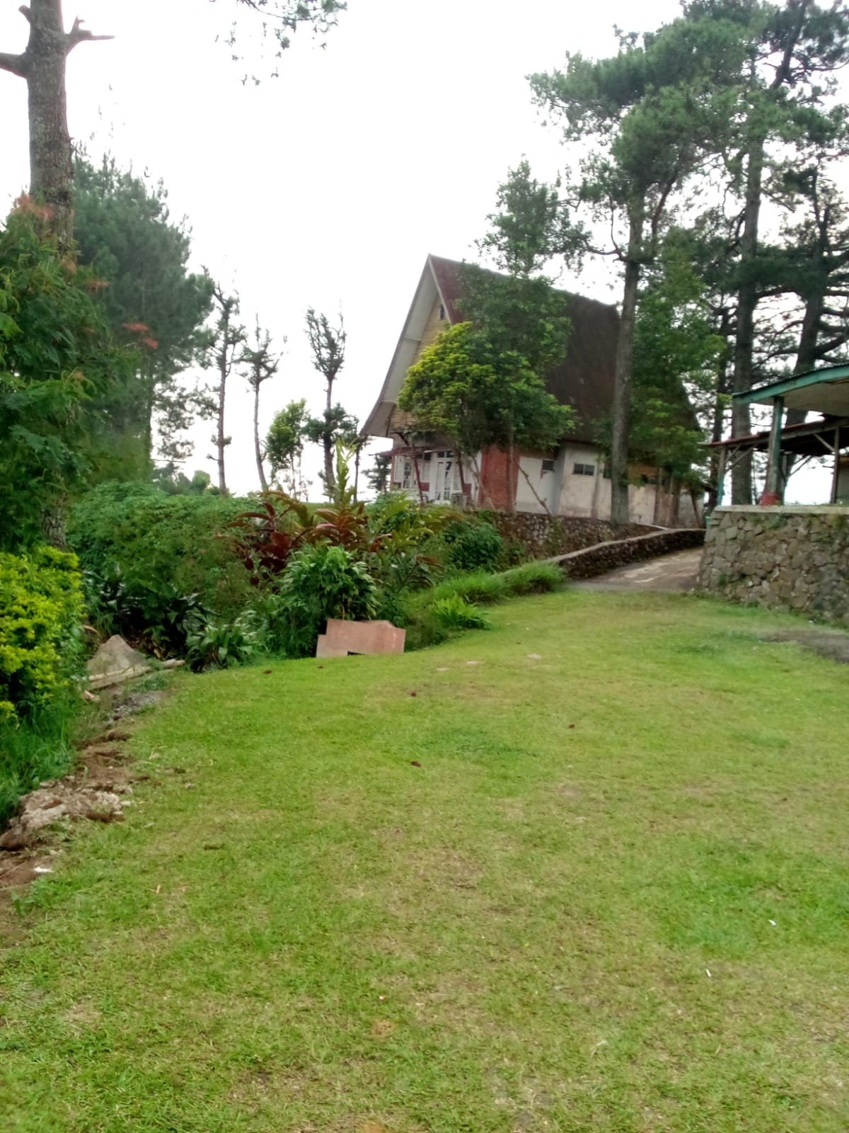 Jual Tanah Siap Bangun di Jl. Raya Puncak Ciloto Pacet Cianjur – View Sejuk dan Investasi Menjajikan - Thumbnail 2