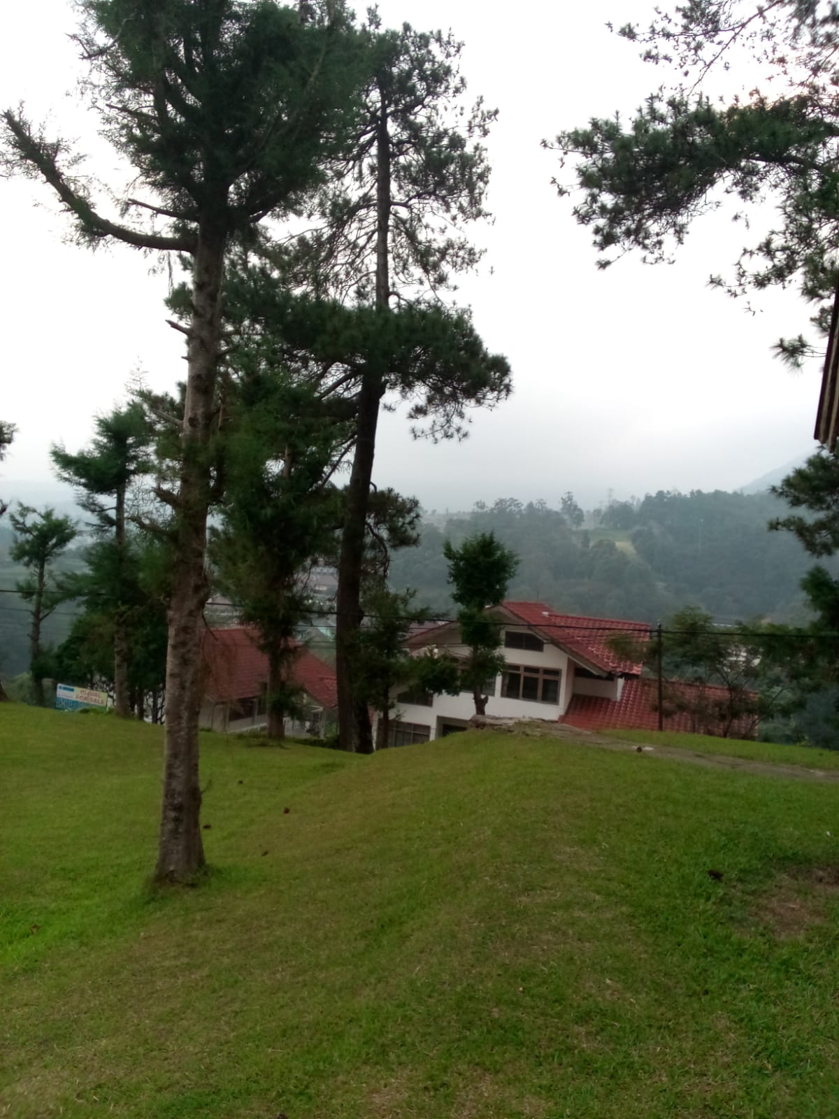 Jual Tanah Siap Bangun di Jl. Raya Puncak Ciloto Pacet Cianjur – View Sejuk dan Investasi Menjajikan - Thumbnail 3