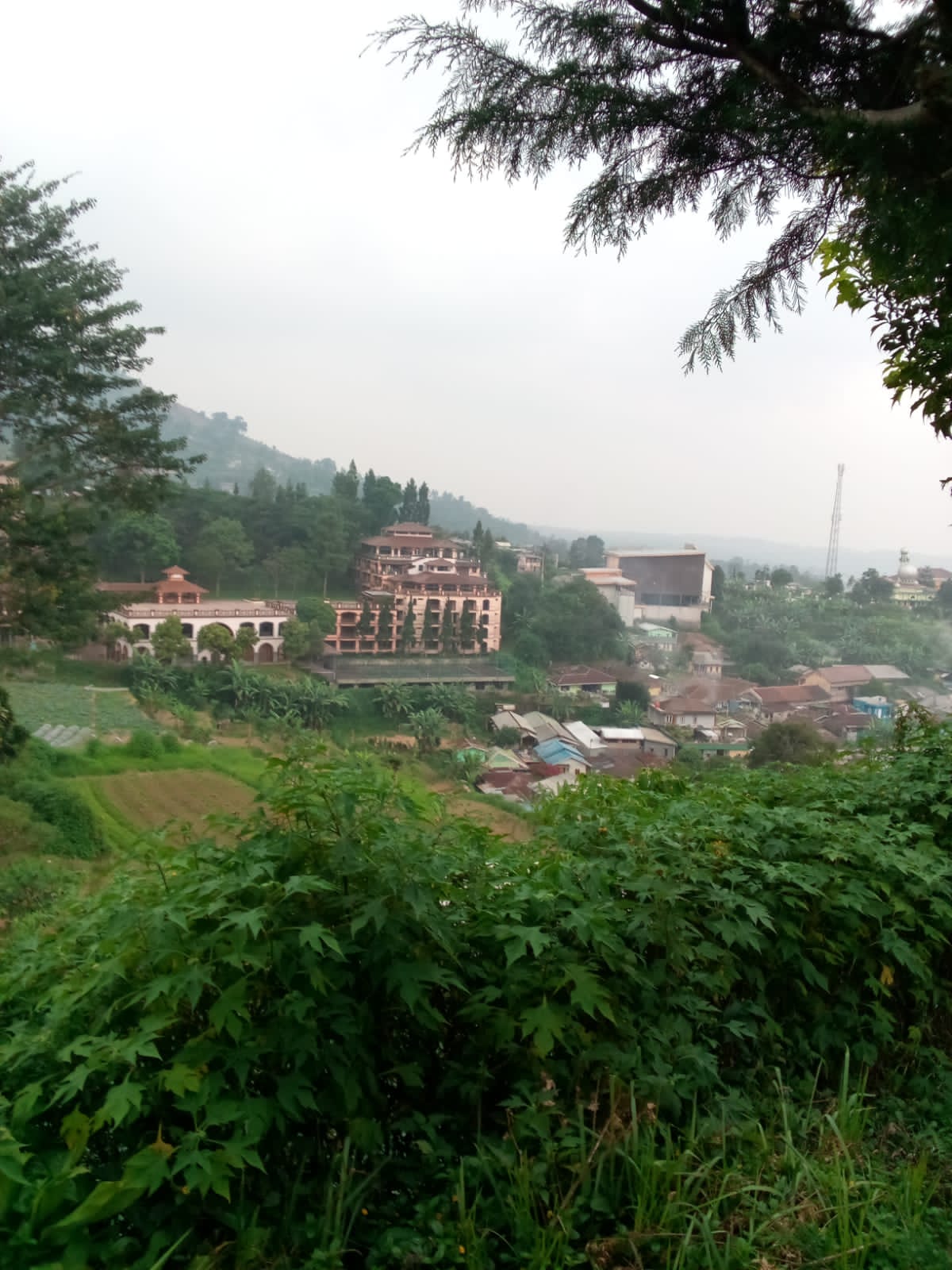 Jual Tanah Siap Bangun di Jl. Raya Puncak Ciloto Pacet Cianjur – View Sejuk dan Investasi Menjajikan - Thumbnail 4