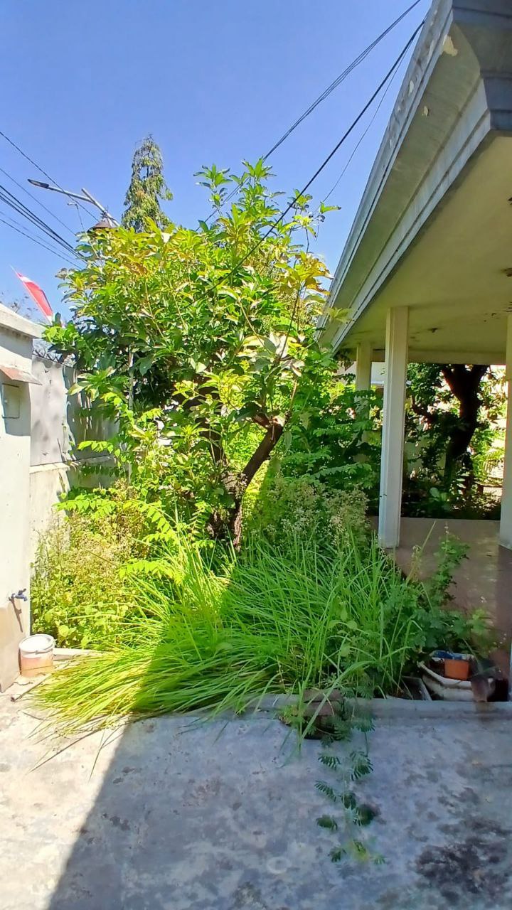 Dijual Rumah Jemur Andayani Lokasi Strategis Dekat Sekolah Petra 9 Surabaya Selatan - Thumbnail 2