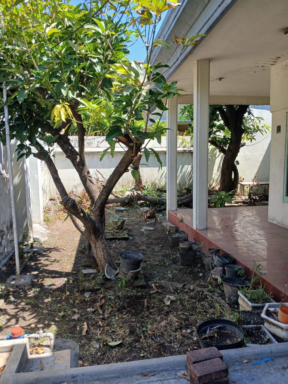 Dijual Rumah Jemur Andayani Lokasi Strategis Dekat Sekolah Petra 9 Surabaya Selatan - Image 1