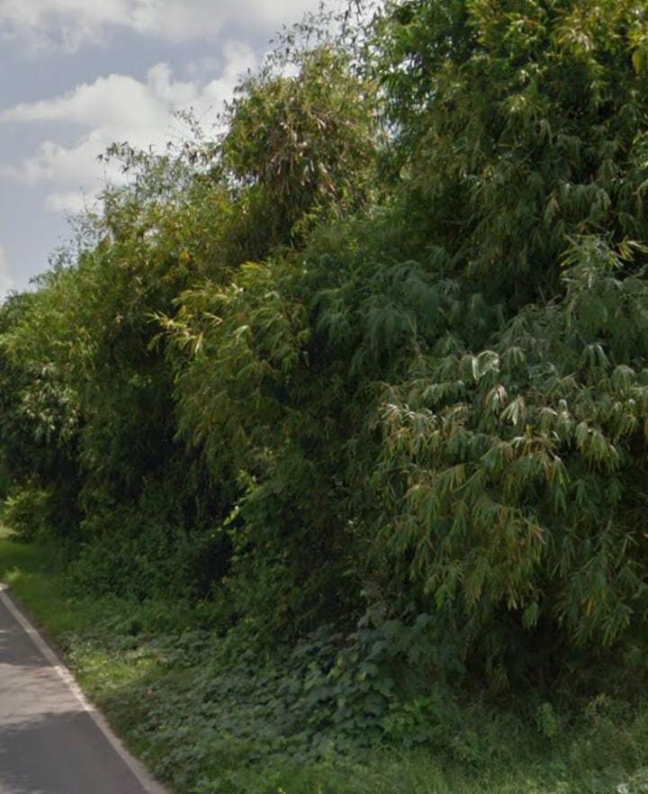 Dijual Tanah Eks Peternakan Ayam Lokasi Strategis di Kawasan Bangkalan Madura - Image 1