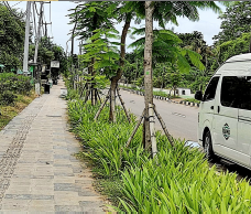 Dijual Tanah Komersial Premium di Jalan Pede Nusa Tenggara Timur - Thumbnail 2