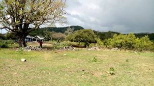 Dijual Tanah Komersial Premium di Jalan Pede Nusa Tenggara Timur - Image 1