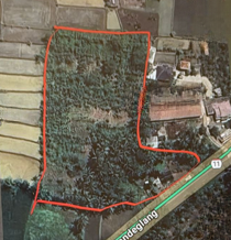 Dijual Tanah Luas di Jalan Raya Labuan Pandeglang Banten - Image 1