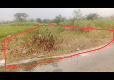 Dijual Tanah Lokasi Strategis di Wilayah Benjeng Gresik - Thumbnail 2