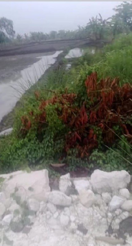 Dijual Tanah Lokasi Strategis di Wilayah Benjeng Gresik - Image 1