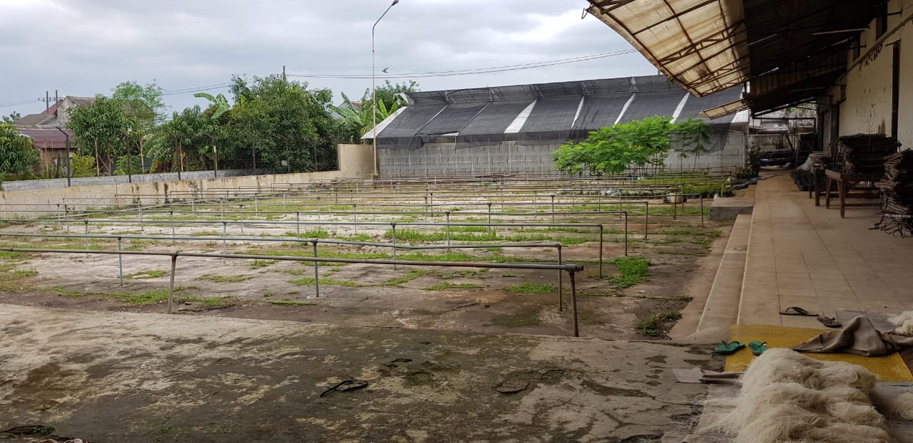 Dijual/Disewakan Gudang Luas dan Strategis di Raya Trosobo Sidoarjo - Thumbnail 4