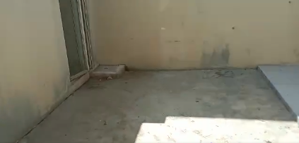 Disewakan Rumah Nyaman di Kawasan Citraland Somerset Surabaya Barat - Thumbnail 4