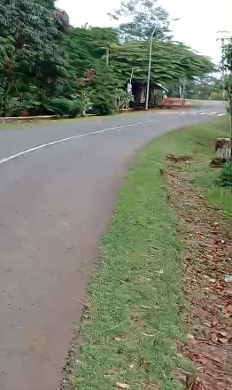 Dijual Tanah Luas dan Strategis di Giri Mukti Kabupaten Sukabumi - Thumbnail 3