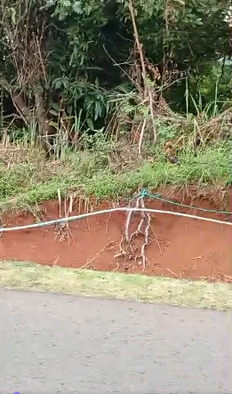 Dijual Tanah Luas dan Strategis di Giri Mukti Kabupaten Sukabumi - Thumbnail 4