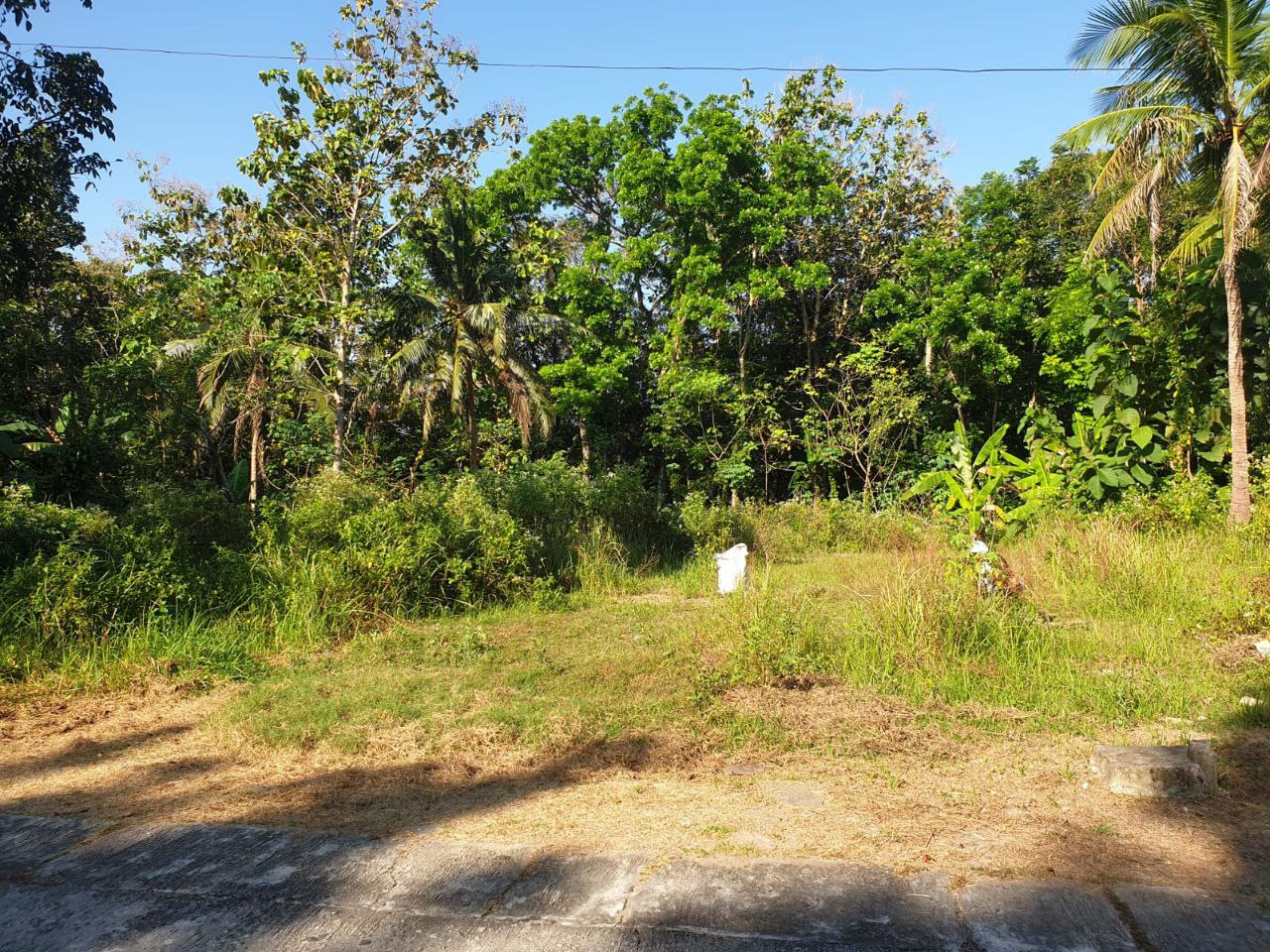 Dijual Tanah Lokasi Strategis di Wilayah Bangunjiwo Kabupaten Bantul - Thumbnail 2