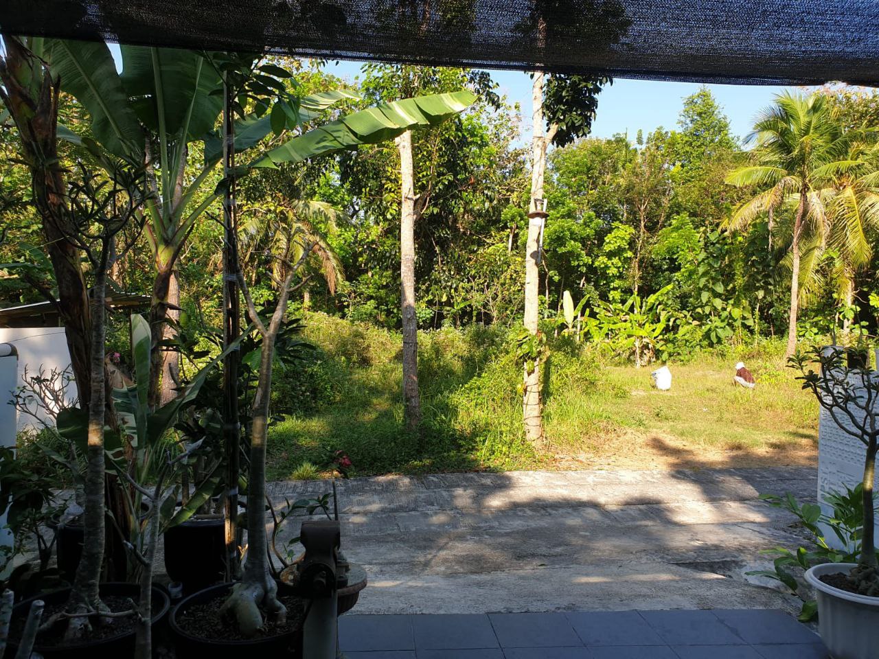 Dijual Tanah Lokasi Strategis di Wilayah Bangunjiwo Kabupaten Bantul - Thumbnail 3