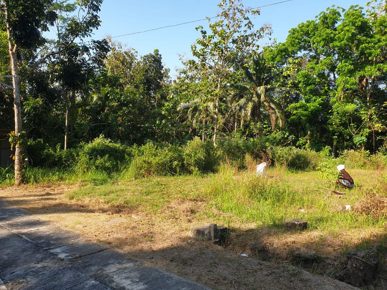 Dijual Tanah Lokasi Strategis di Wilayah Bangunjiwo Kabupaten Bantul - Thumbnail 5