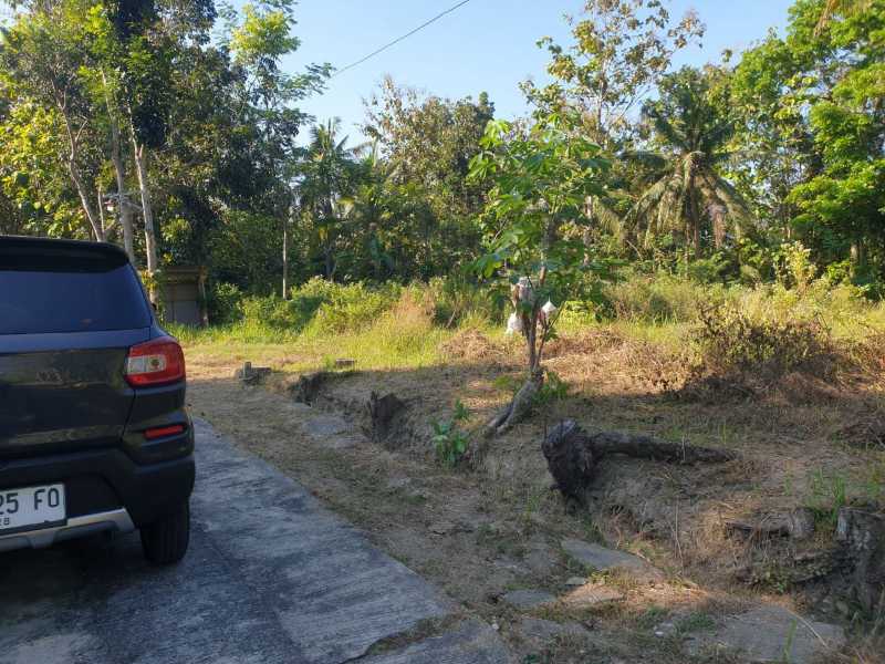 Dijual Tanah Lokasi Strategis di Wilayah Bangunjiwo Kabupaten Bantul - Thumbnail 7