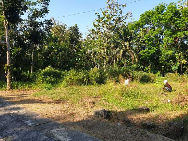 Dijual Tanah Lokasi Strategis di Wilayah Bangunjiwo Kabupaten Bantul - Thumbnail 8