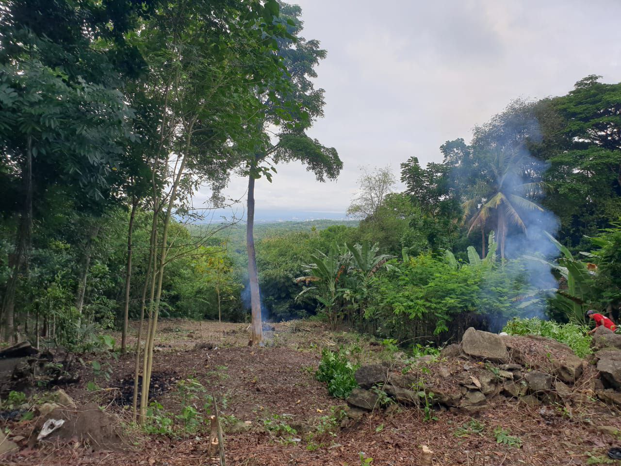 Dijual Tanah Luas dan Strategis di Wilayah Bangunjiwo Kabupaten Bantul - Image 1