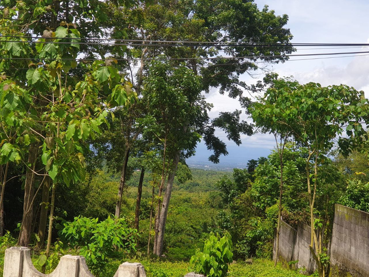 Dijual Tanah Luas dan Strategis di Wilayah Bangunjiwo Kabupaten Bantul - Thumbnail 7