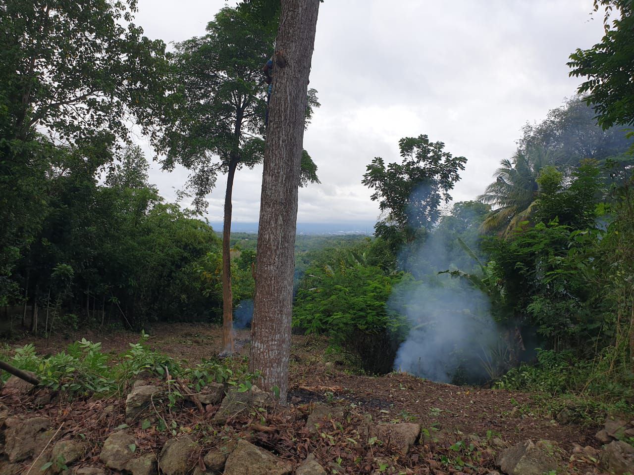 Dijual Tanah Luas dan Strategis di Wilayah Bangunjiwo Kabupaten Bantul - Thumbnail 2