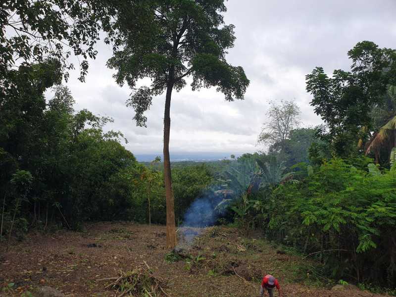 Dijual Tanah Luas dan Strategis di Wilayah Bangunjiwo Kabupaten Bantul - Thumbnail 4