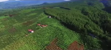 Dijual Tanah Luas Lokasi Strategis di Kawasan Kota Batu - Thumbnail 2