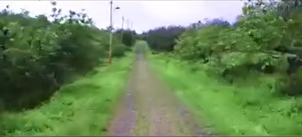 Dijual Tanah Luas Lokasi Strategis di Kawasan Kota Batu - Thumbnail 6