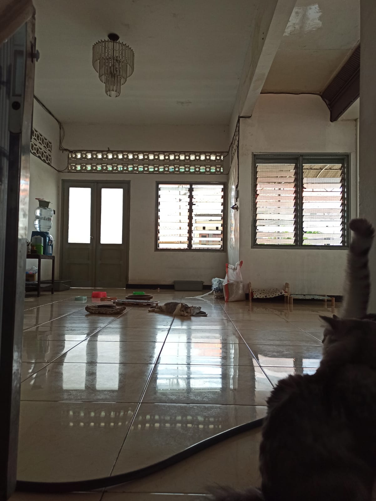 Dijual Rumah 2 Lantai di Jl. Ambengan Surabaya Pusat – Luas, Strategis, dan Cocok untuk Hunian atau Usaha - Thumbnail 5