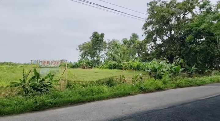 Dijual/Disewakan Tanah Perkebunan Luas di Desa Cikarang Kabupaten Karawang - Thumbnail 6