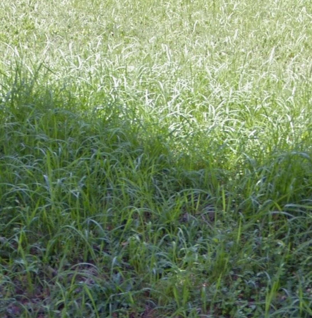 Jual Kavling Tanah Raya Galeria Golf Lokasi Premium Strategis Citraland Surabaya Barat - Image 1