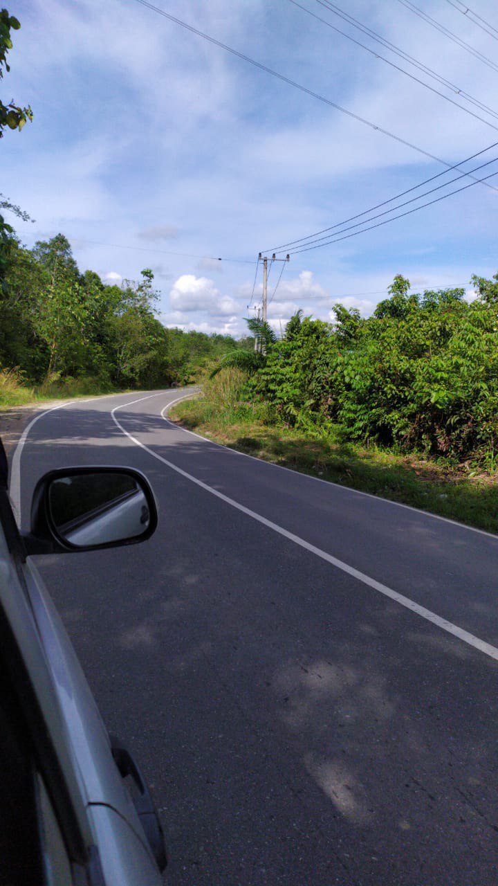 Dijual Tanah Luas Komersial Strategis di Jalan Raya Provinsi IKN Nusantara Kutai Kartanegara - Image 1