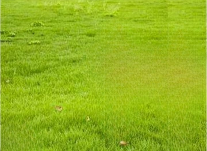 Dijual Tanah Strategis Lokasi Graha Natura Surabaya Barat - Thumbnail 2