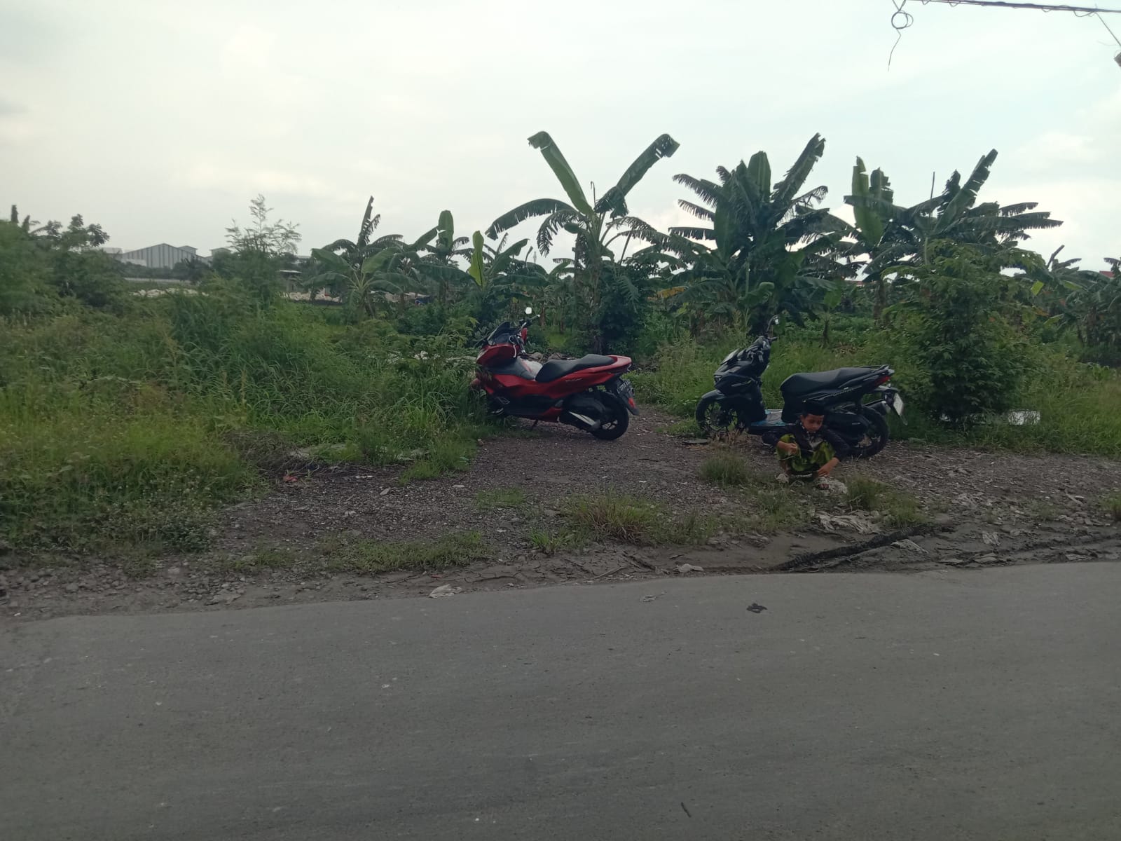 Jual Tanah 0 Jalan Raya Pakal Citraland Surabaya Barat - Image 1