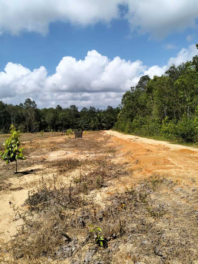 Dijual Tanah Luas Lokasi Potensial di Kawasan Buluh Tumbang Bangka Belitung - Thumbnail 2